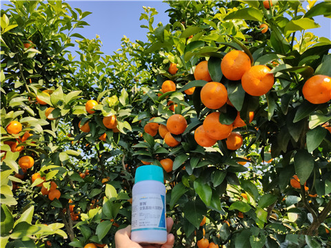 葉面肥，拉姆拉，翠姆