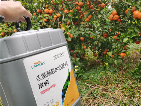 水溶肥，拉姆拉，翠姆