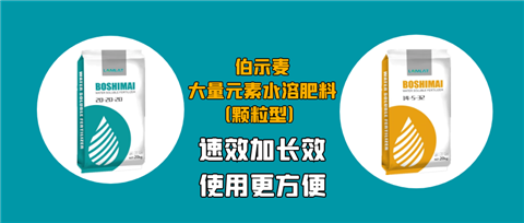 顆粒肥，拉姆拉，翠姆