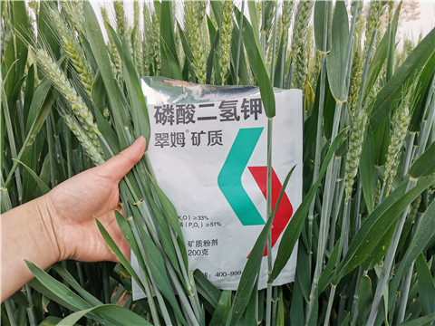 葉面肥，水溶肥，磷酸二氫鉀