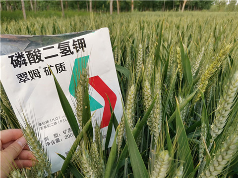 葉面肥，水溶肥，磷酸二氫鉀