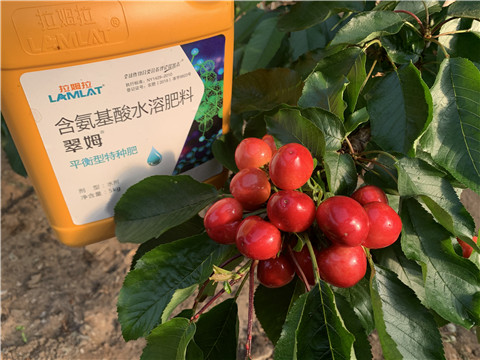 氨基酸水溶肥，拉姆拉，翠姆