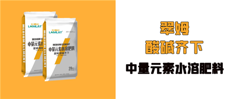 水溶肥，拉姆拉，翠姆