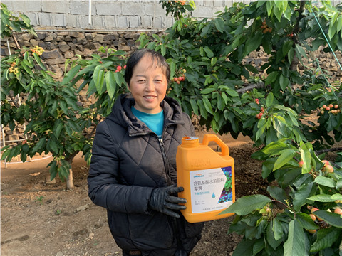 水溶肥，拉姆拉，翠姆