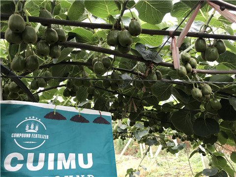 顆粒復(fù)合肥，拉姆拉，翠姆