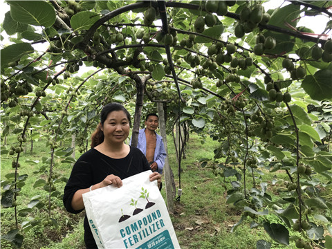 顆粒復(fù)合肥，拉姆拉，翠姆