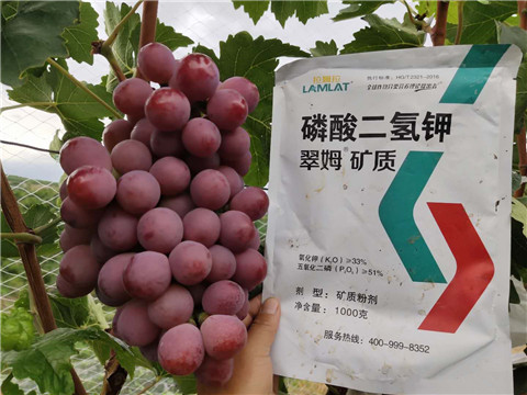 磷酸二氫鉀，拉姆拉，翠姆