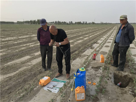 水溶肥，拉姆拉，翠姆