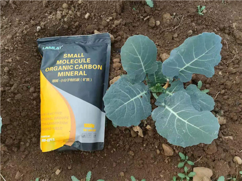 小分子有機(jī)碳，拉姆拉，翠姆