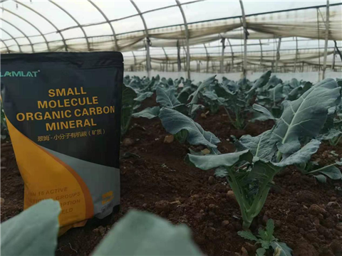 小分子有機(jī)碳，拉姆拉，翠姆