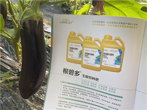 水溶肥，拉姆拉，翠姆