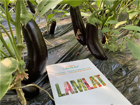 水溶肥，拉姆拉，翠姆