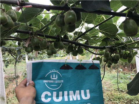 顆粒水溶肥，拉姆拉，翠姆