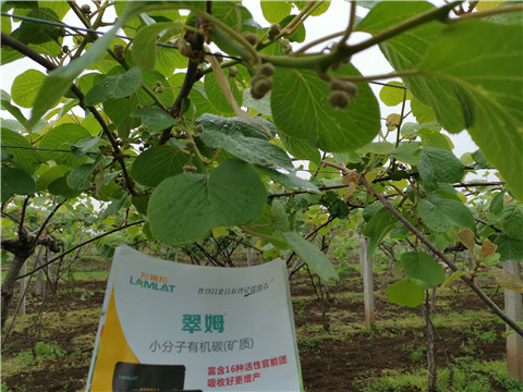 小分子有機碳，拉姆拉，翠姆