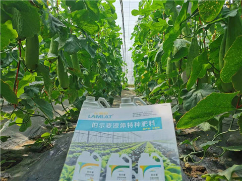 水溶肥，拉姆拉，翠姆