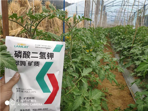 磷酸二氫鉀，拉姆拉，翠姆