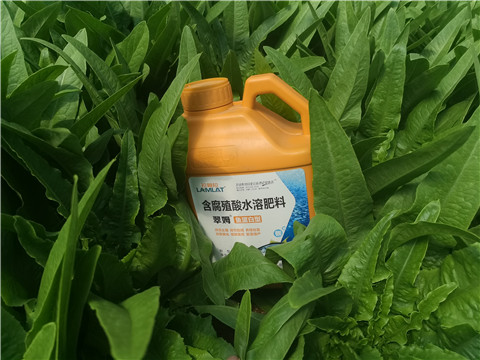 沖施肥，拉姆拉，翠姆