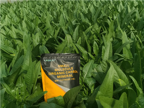 礦源黃腐酸鉀，拉姆拉，翠姆