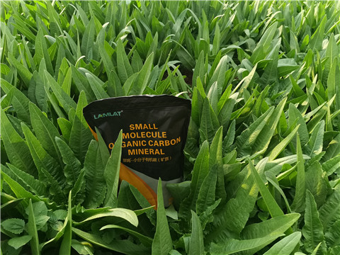 礦源黃腐酸鉀，拉姆拉，翠姆