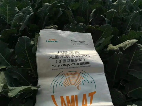 大量元素水溶肥，拉姆拉，翠姆