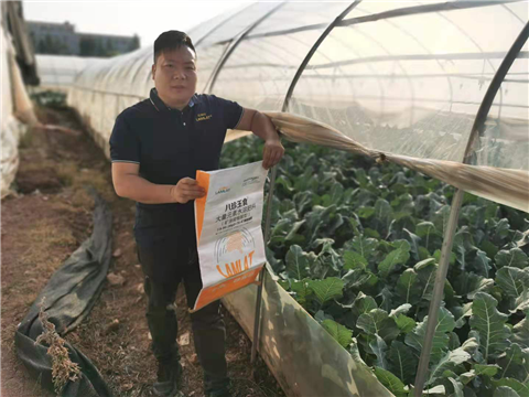 大量元素水溶肥，拉姆拉，翠姆