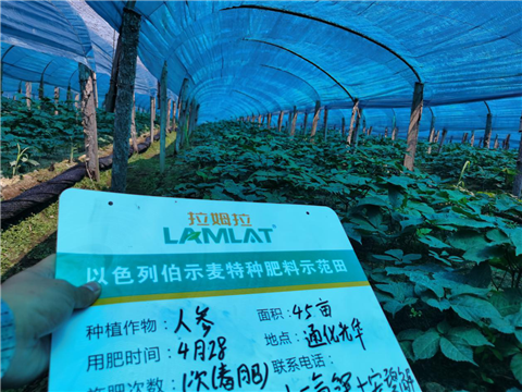 水溶肥，拉姆拉，翠姆