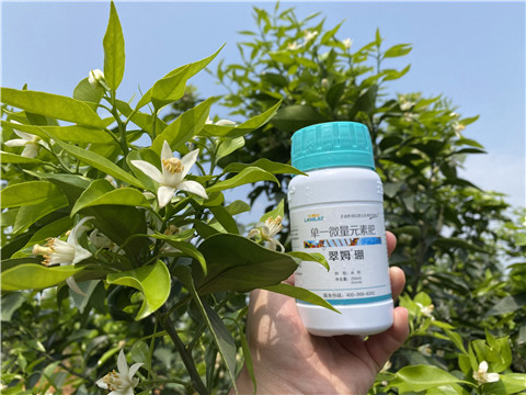 硼肥，拉姆拉，翠姆