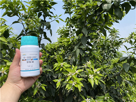 硼肥，拉姆拉，翠姆