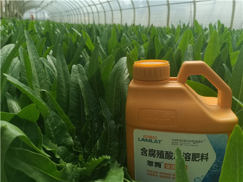 水溶肥，翠姆，拉姆拉