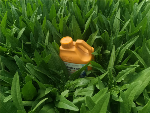 水溶肥，翠姆，拉姆拉