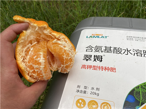 水溶肥，翠姆，拉姆拉