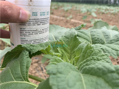 水溶肥，翠姆，拉姆拉