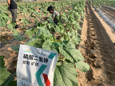 水溶肥，翠姆，拉姆拉