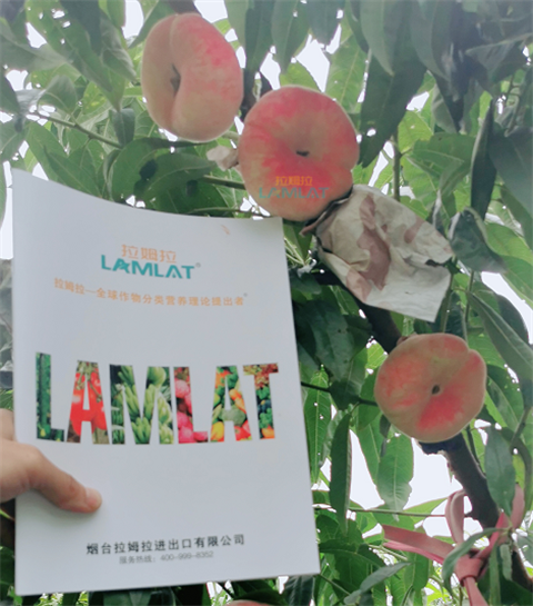 水溶肥，翠姆，拉姆拉