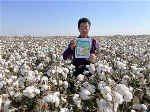 水溶肥，翠姆，拉姆拉