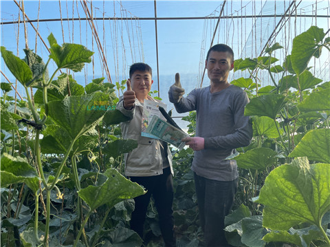 水溶肥，翠姆，拉姆拉