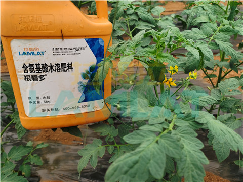 水溶肥，翠姆，拉姆拉