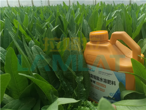 水溶肥，翠姆，拉姆拉