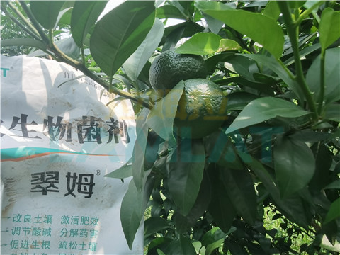 微生物菌劑，翠姆，拉姆拉