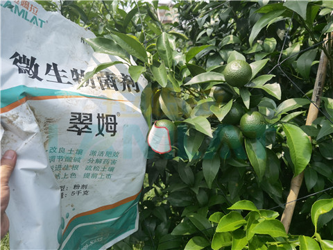 微生物菌劑，翠姆，拉姆拉