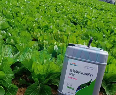 水溶肥，翠姆，拉姆拉