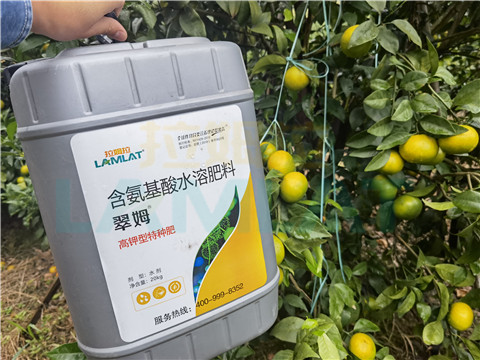 水溶肥，拉姆拉，翠姆