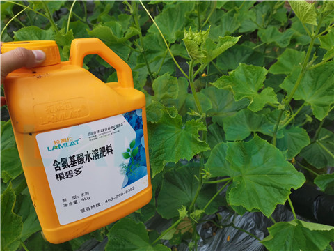 水溶肥，拉姆拉，翠姆