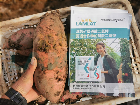 水溶肥，拉姆拉，翠姆