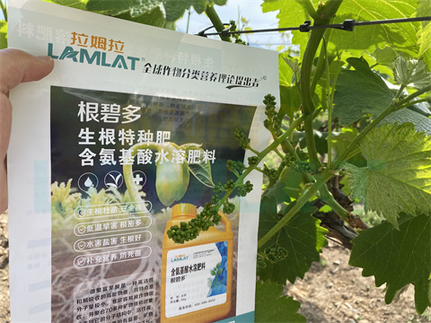 水溶肥，拉姆拉，翠姆