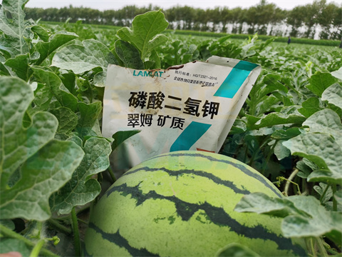 水溶肥，拉姆拉，翠姆