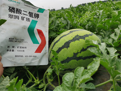 水溶肥，翠姆，拉姆拉