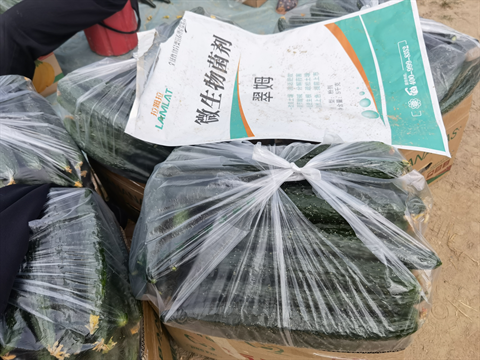 水溶肥,翠姆,黃瓜水溶肥 水溶肥,翠姆,黃瓜水溶肥