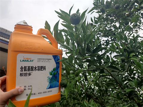 水溶肥,翠姆,愛媛種植管理 水溶肥,翠姆,愛媛種植管理