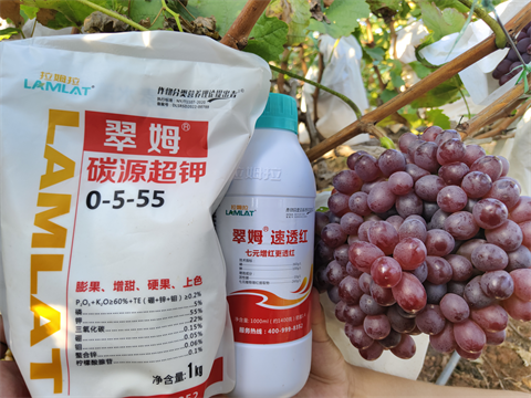 進口水溶肥,翠姆,葡萄水溶肥 進口水溶肥,翠姆,葡萄水溶肥